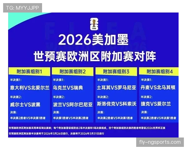 波黑冲击2026世界杯阵容预测：核心球员能否带队突围